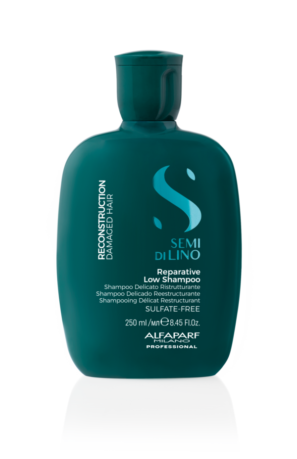 Alfaparf Reparative Shampoo 250ml